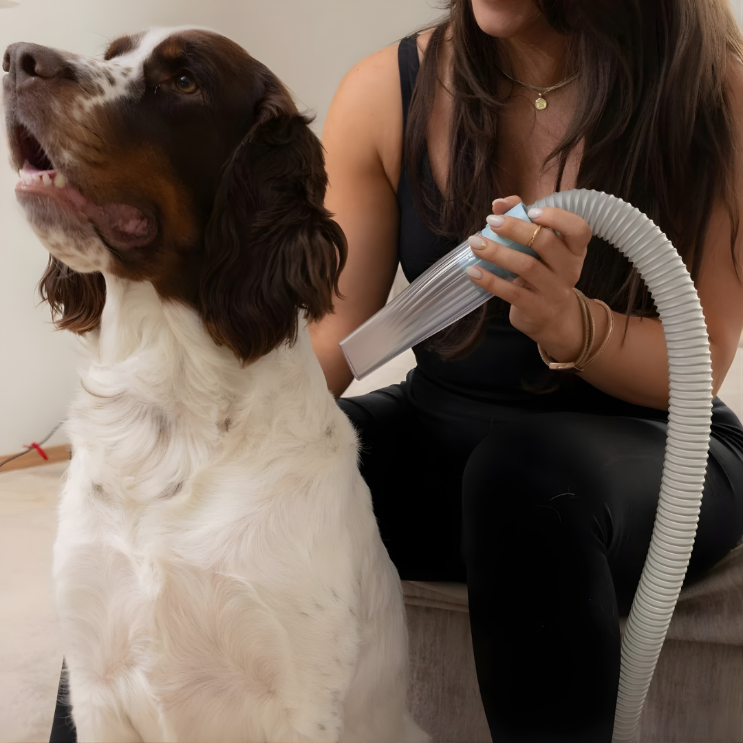 SilentGroom™ Vacuum System
