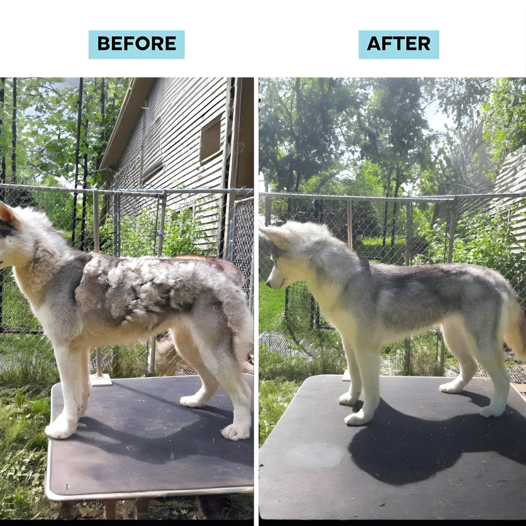 SilentGroom™ Vacuum System