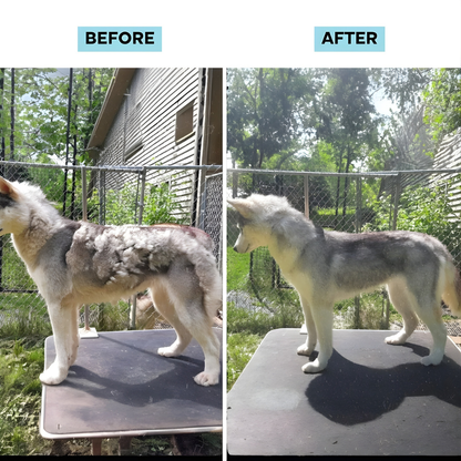 SilentGroom™ Vacuum System