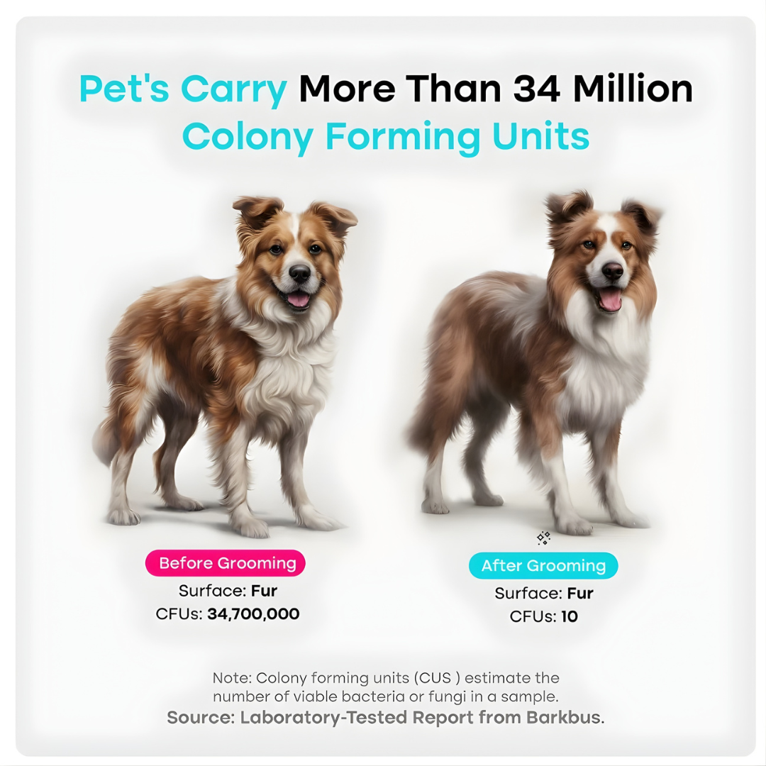 SilentGroom™ Vacuum System