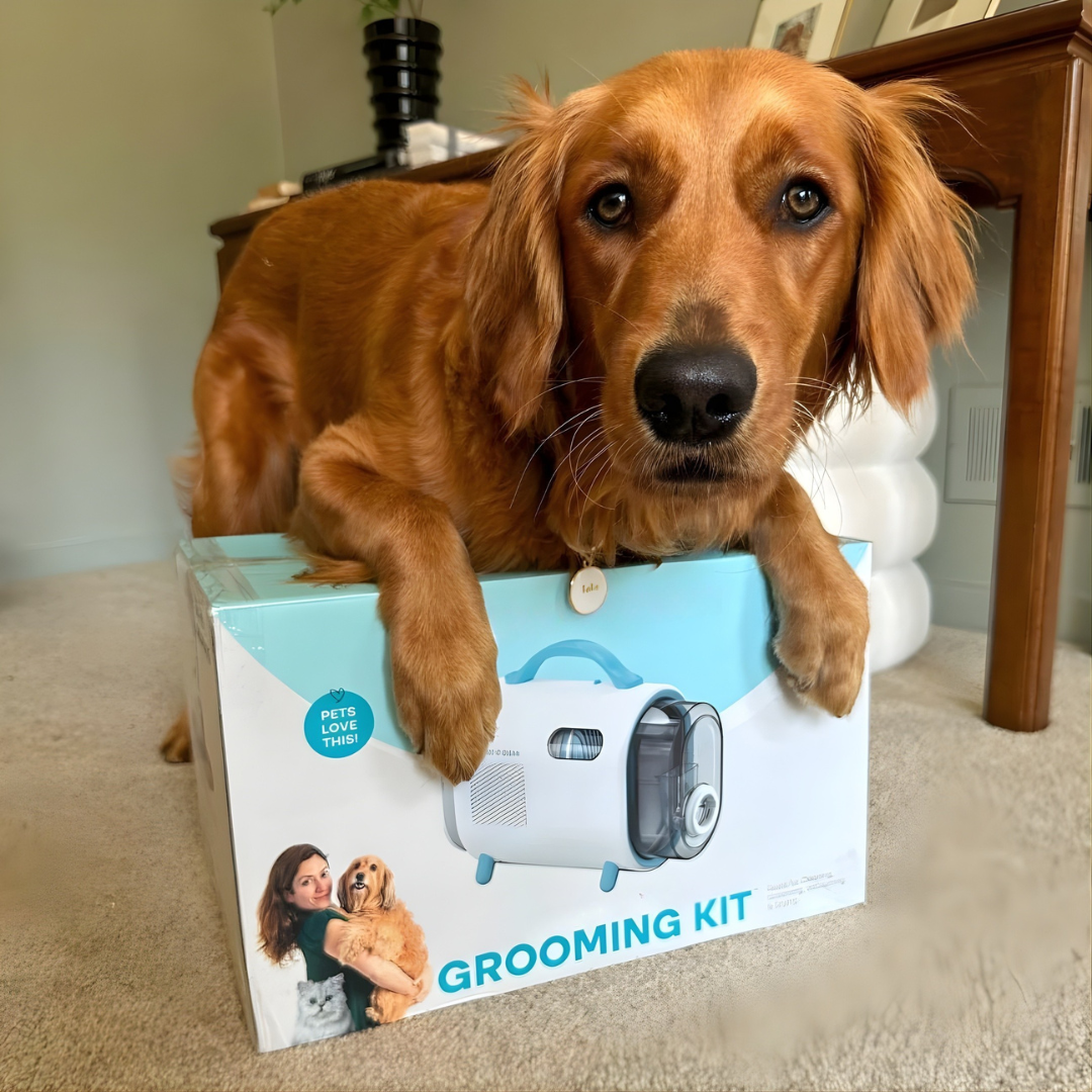 SilentGroom™ Vacuum System